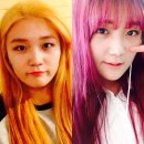 6월 1째주 주간일기