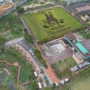 영등소머리곰탕 이미지