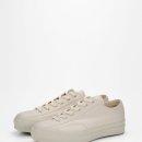 짐 클래식(GYM classic) 이미지