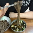 만둥 | [전주 완산구] 전주 메밀소바 맛집으로 유명한 “메르밀진미집” 본점 내돈내산 방문 솔직후기