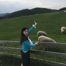 윤성목장 이미지