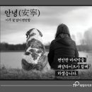 태양라이프 이미지