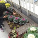 우2동경로당 이미지