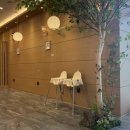 하단8-2 | 부산 사하구 하단 맛집 "스시투어" | 하단 초밥 맛집 | 재방문 후기 |(접시 균일가 2,850원)