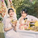 엠티브이13로1L 이미지