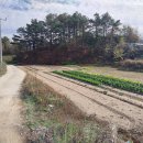 토지농장 이미지