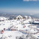 휘닉스평창 콘도미니엄(2차) 이미지