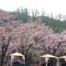 더 설레임 펜션 이미지