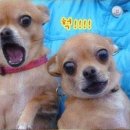 따담 이미지