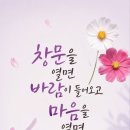 꽃다운 Daum카페