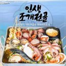 오아시스조개 이미지