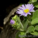 바다와등대가보이는집 이미지