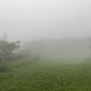 운전교차로목장 | 6월 21일 ~ 6월 24일 제주도 다녀와따