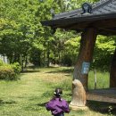함안(부산방향)휴게소 | 함안 휴게소 부산 방향 먹거리 심야식당과 수유실 정보