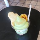 [님만해민 녹차 카페 후기] 치앙마이 Ji Matcha Tea Time / Matchi Matchi Matchi
