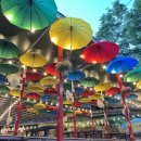 장흥켄넬 | [양주맛집] 장흥유원지맛집 주막촌