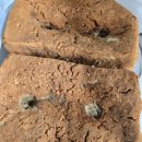 죽리토종식품 이미지