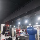 와룡복싱 이미지