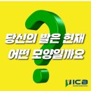 라진틔움