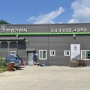 단산인삼사 네이버블로그