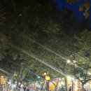 윤식당 앤 윤카페 이미지