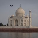 타지마할 이미지