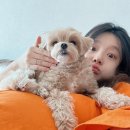 줄리 이미지