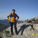 벌교농협주유소 이미지