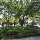 고고게임랜드 이미지