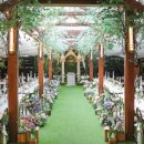 더헤세드강남