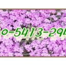 중앙2길 이미지