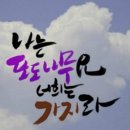 포도나무 Daum카페