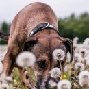 물빛동물병원 이미지