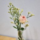 화랑농장 이미지