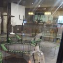 몽키 휘트니스 이미지