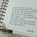 악필 교정과 캘리그라피 이미지