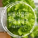 서울 식물원 씨앗 도서관에서 씨앗 대출받아 상추 키우기