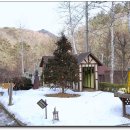 하얀허브 이미지