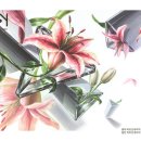 아트인네이처