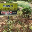 화원동산 전망대 네이버블로그
