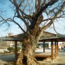 교암초등학교 이미지