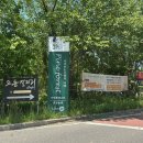 울산 대형카페 파인포레스트 울주군 베이커리카페 추천 후기