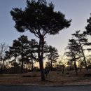 ICHEON18 | &#34;블랙스톤이천GC&#34; 서울근교 골프장, 이천 골프장 추천, 내돈내산 골프장 방문 후기