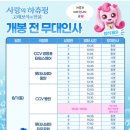 메가엠지씨커피동탄공원로 | 사랑의 하츄핑2 고래보석의 전설 여름방학 아이와 볼만한 영화 (개봉, 무대인사)