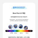 다비치안경대전역점 이미지