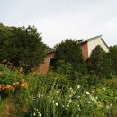 맑은사람들 이미지