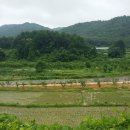 바른땅공인중개사사무소 이미지