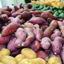 구황작물 이미지