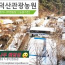 광덕산관광농원호두나무캠핑장