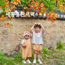 용포동 | 세종 아이와 가볼만한 곳, 세종홍판서댁 능소화 명소 후기